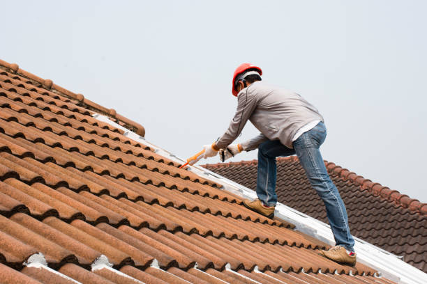 Professional Roofing servicies in Mcalmont, AR